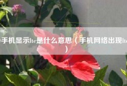 手机显示lte是什么意思（手机网络出现lte）