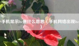 手机显示lte是什么意思（手机网络出现lte）