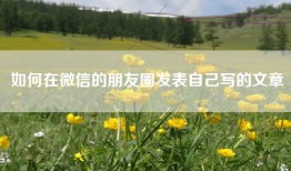 如何在微信的朋友圈发表自己写的文章