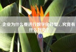 企业为什么要进行数字化转型，究竟有什么好处？