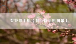 专业修手机（专业修手机屏幕）
