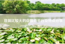 目前比较火的自媒体平台及特点分享