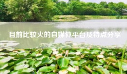 目前比较火的自媒体平台及特点分享