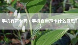 手机有声卡吗（手机自带声卡什么意思？）