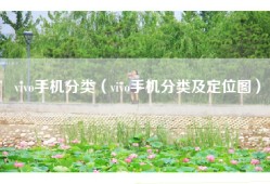 vivo手机分类（vivo手机分类及定位图）