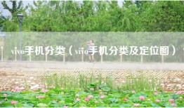 vivo手机分类（vivo手机分类及定位图）