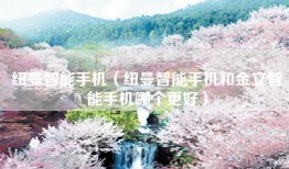 纽曼智能手机（纽曼智能手机和金立智能手机哪个更好）