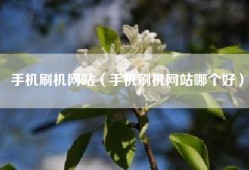 手机刷机网站（手机刷机网站哪个好）