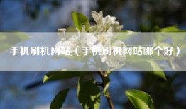 手机刷机网站（手机刷机网站哪个好）
