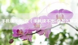 手机读不出u盘（手机读不出u盘怎么解决）