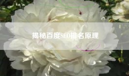 揭秘百度SEO排名原理
