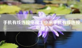 手机有线连接电视（小米手机有线连接电视）