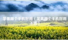 苹果哪个手机好用（苹果哪个手机好用不贵）