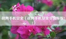 战网手机安全（战网手机安全令国际版2.2）