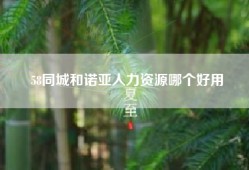 58同城和诺亚人力资源哪个好用