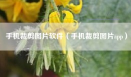 手机裁剪图片软件（手机裁剪图片app）