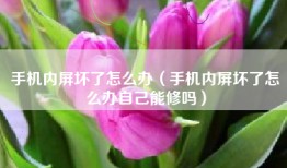 手机内屏坏了怎么办（手机内屏坏了怎么办自己能修吗）