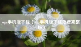 wps手机版下载（wps手机版下载免费完整版）
