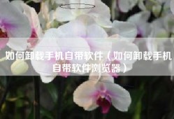 如何卸载手机自带软件（如何卸载手机自带软件浏览器）