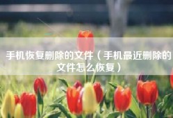 手机恢复删除的文件（手机最近删除的文件怎么恢复）