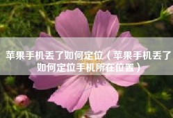 苹果手机丢了如何定位（苹果手机丢了如何定位手机所在位置）