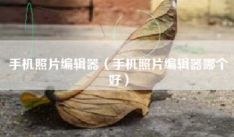 手机照片编辑器（手机照片编辑器哪个好）