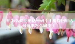 手机怎么找回电话号码（手机找回电话号码本怎么同步）