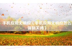 手机应用无响应（手机应用无响应怎么强制关闭）