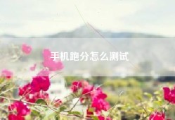 手机跑分怎么测试
