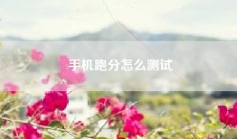 手机跑分怎么测试