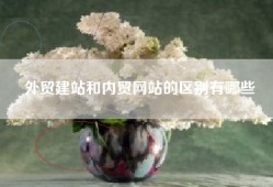 外贸建站和内贸网站的区别有哪些