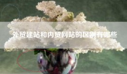 外贸建站和内贸网站的区别有哪些