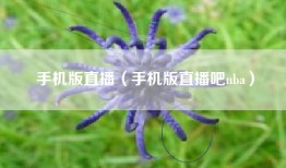 手机版直播（手机版直播吧nba）