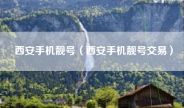 西安手机靓号（西安手机靓号交易）