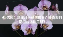 SEO优化：想提升关键词排名？那该如何使用seo优化工具？