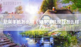 尼采手机怎么样（尼采手机现在怎么样了）