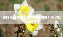 如何高效利用百度图片搜索提升你的信息获取能力
