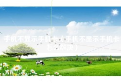 手机不显示手机卡（手机不显示手机卡怎么解决）