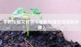 手机压缩文件夹（手机压缩文件夹的步骤）
