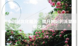 巴中网站优化服务，提升网站的流量和转化率