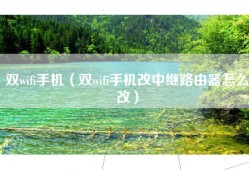 双wifi手机（双wifi手机改中继路由器怎么改）