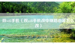 双wifi手机（双wifi手机改中继路由器怎么改）
