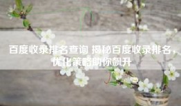 百度收录排名查询 揭秘百度收录排名，优化策略助你飙升