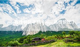 oppo高性价比手机（oppo 高性价比）