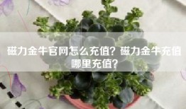 磁力金牛官网怎么充值？磁力金牛充值哪里充值？