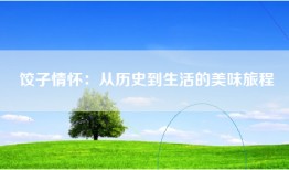 饺子情怀：从历史到生活的美味旅程