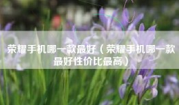 荣耀手机哪一款最好（荣耀手机哪一款最好性价比最高）