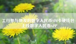 工行参与研发的数字人民币SIM卡硬钱包  上线数字人民币APP