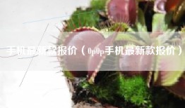 手机最新款报价（0p0p手机最新款报价）