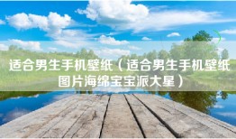适合男生手机壁纸（适合男生手机壁纸图片海绵宝宝派大星）